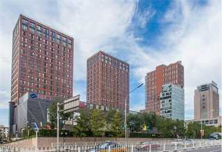 吉林哑光柔光砖好不好