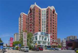 宁夏黄花菜平均价格