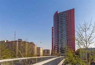 福建通用流延色母制造厂家